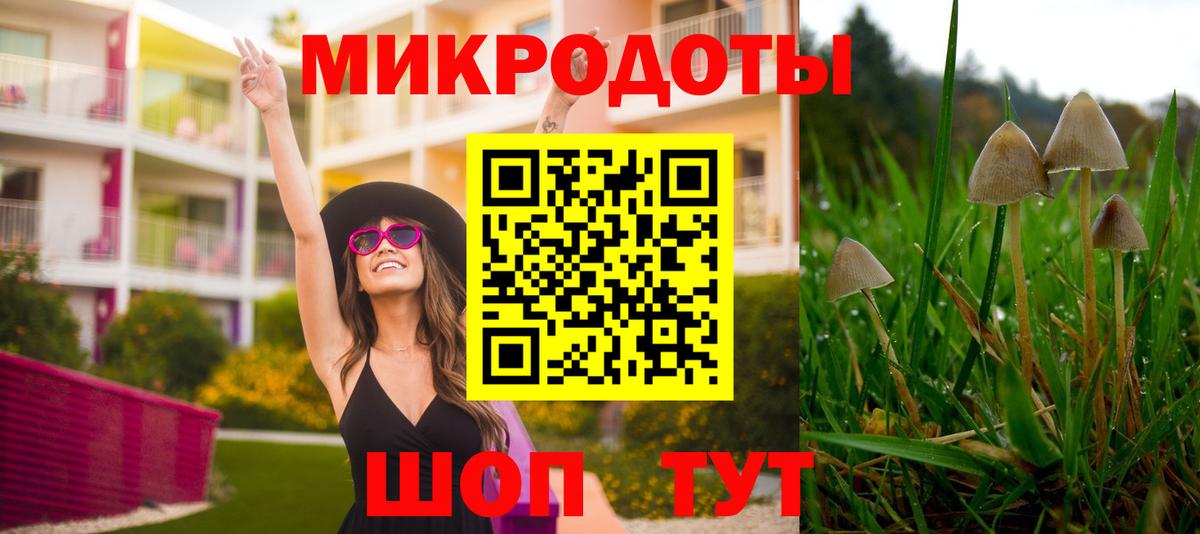 Кудрово  Псилоцибиновые грибы мицелий  Вход с VPN 